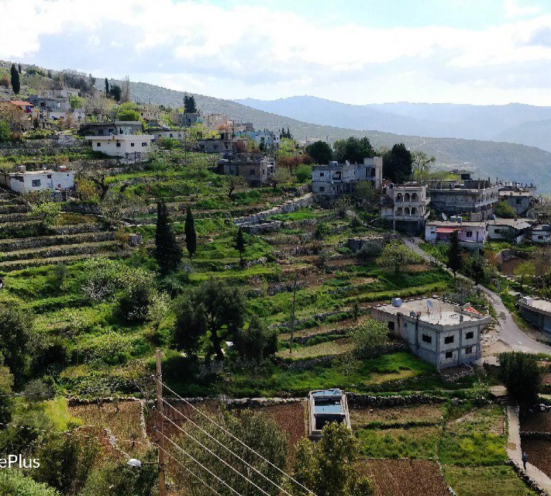 سوریه لاذقیه