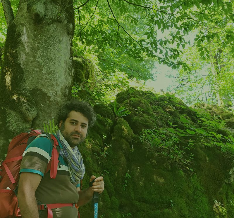 قصه درخت پیر و رازش از حسام الدین مطهری