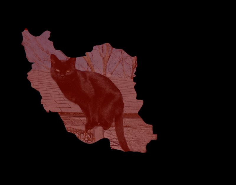 داستان کوتاه ناله مرغ مادر