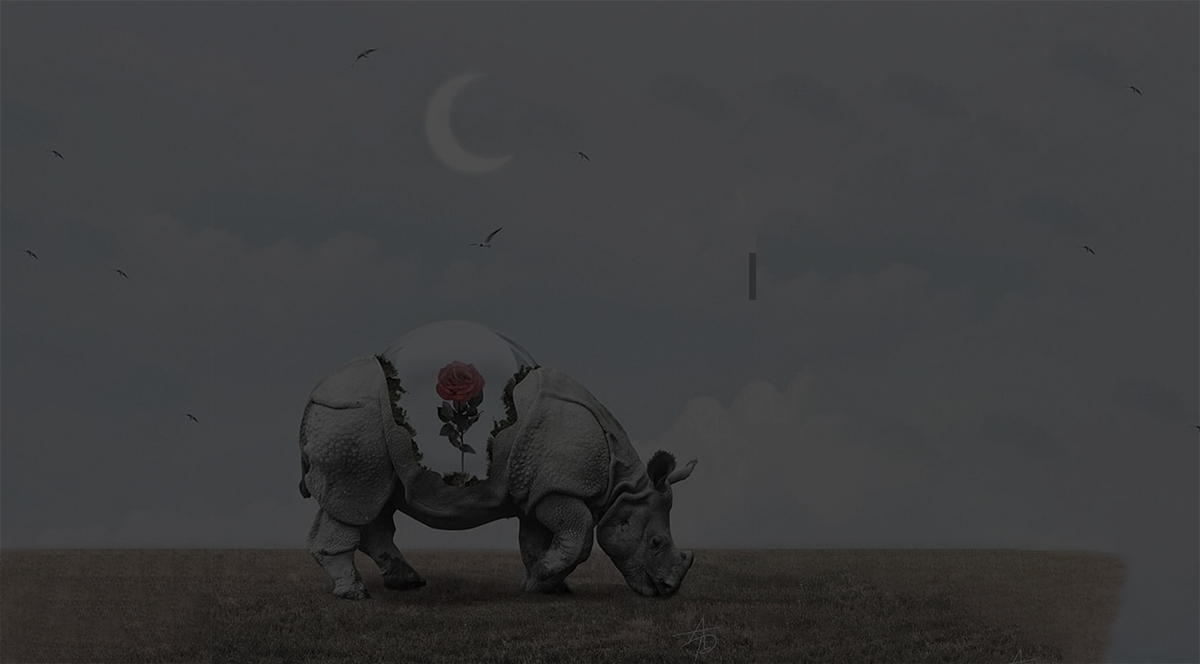 دست بکش از اصلاح دنیا….